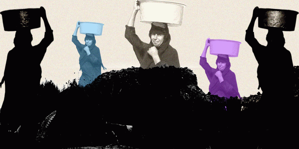 مناخ قاسٍ وسياسات صامتة : لماذا يغيب صوت المرأة عن أزمة البيئة في العراق؟ 